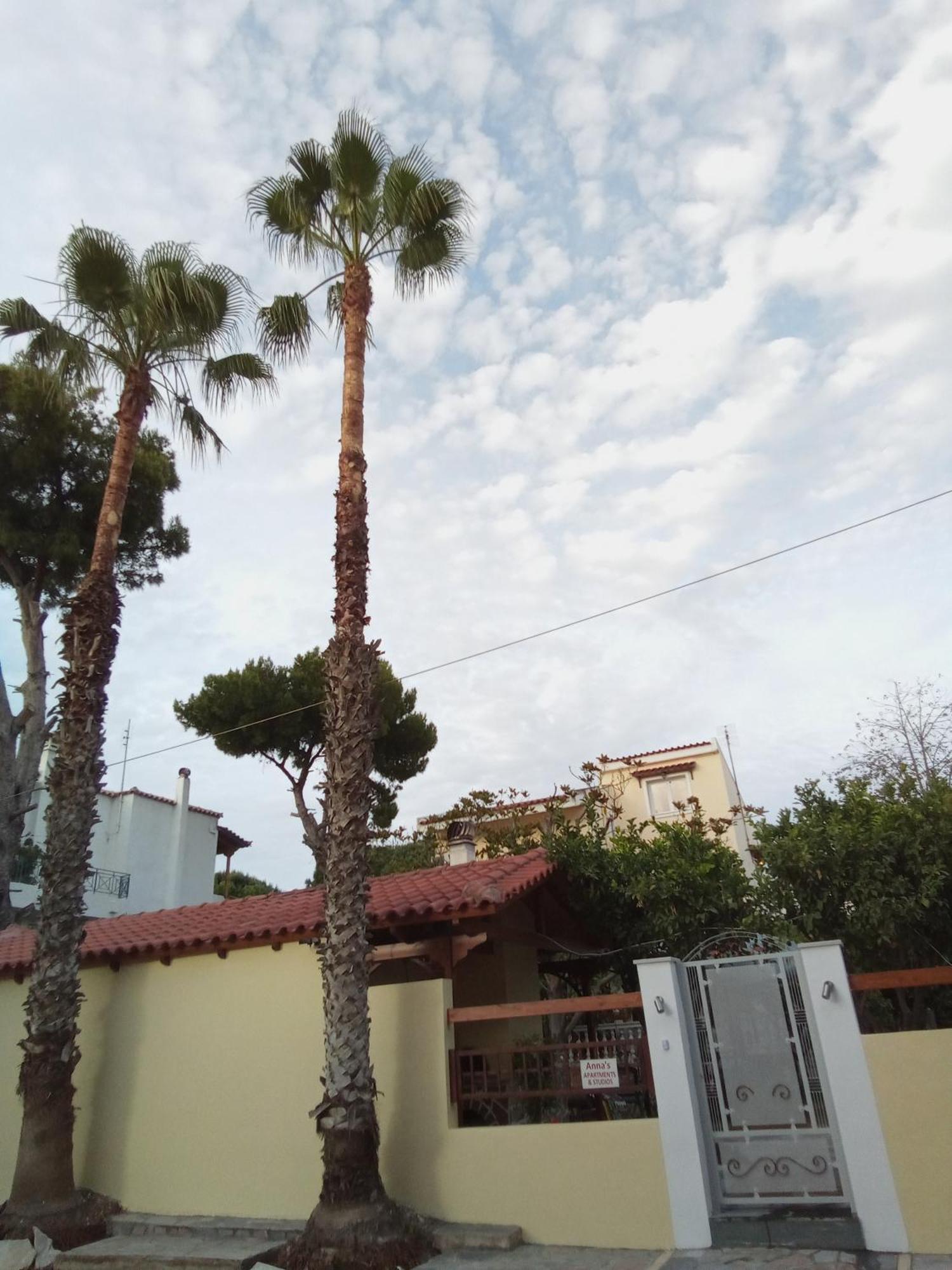Anna'S Apartment And Studio Artemida  Exterior photo